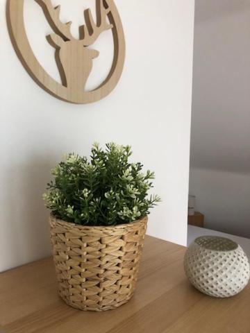 Fewo_Ortszeit Haintchen Εξωτερικό φωτογραφία